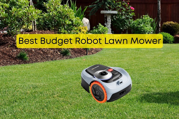 Best Budget Robot Lawn Mower