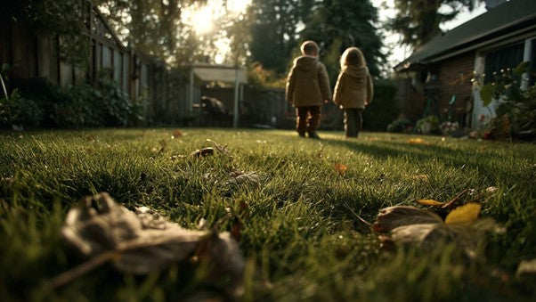 When you should mow the lawn for the last time