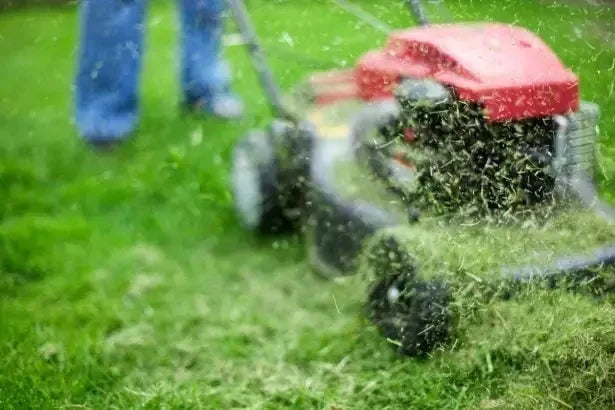 How Much Does Lawn Mowing Cost?