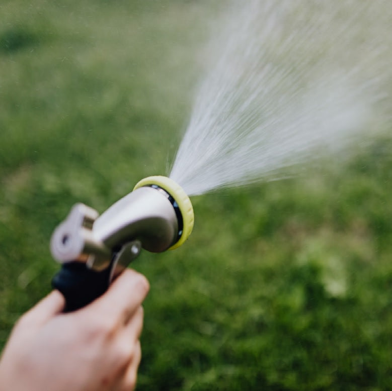How Long to Water New Grass Seed