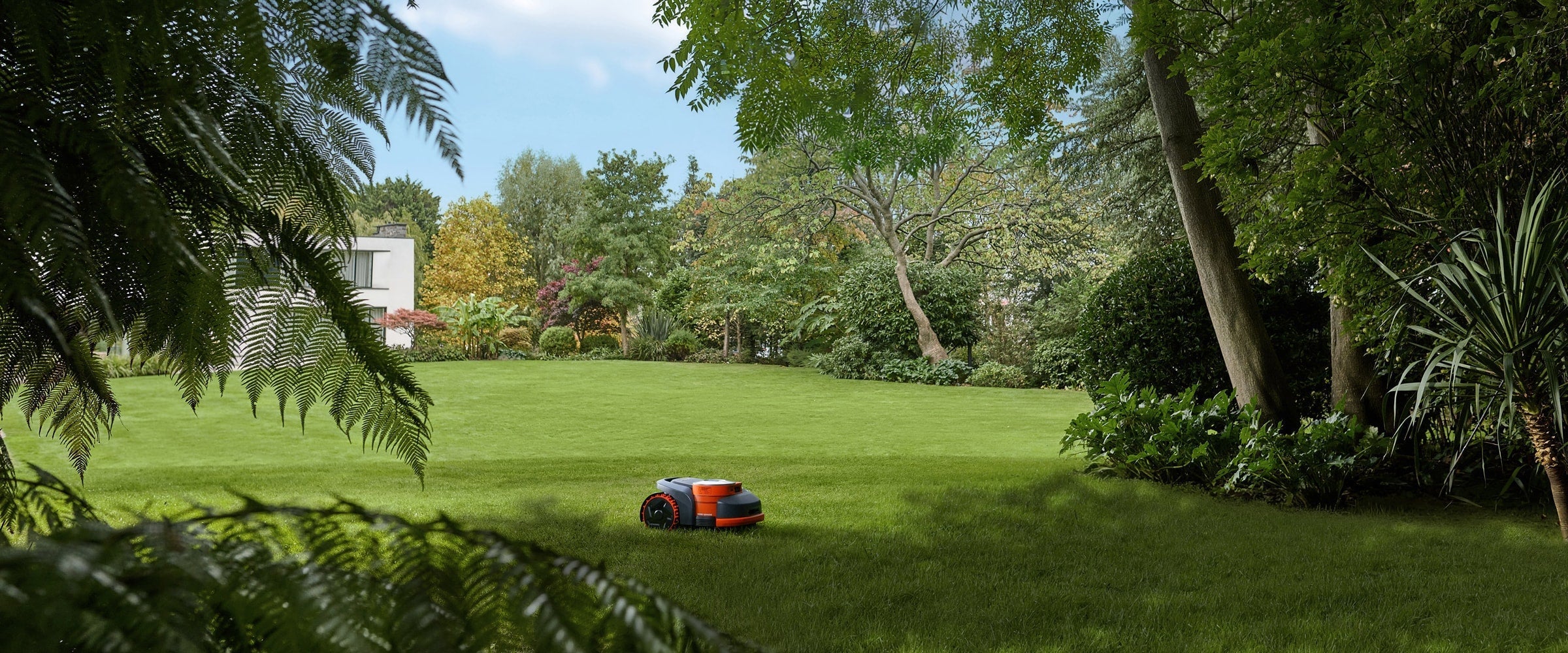 Segway Navimow H2 robot mower centered on a huge manicured lawn with ferns in the near foreground