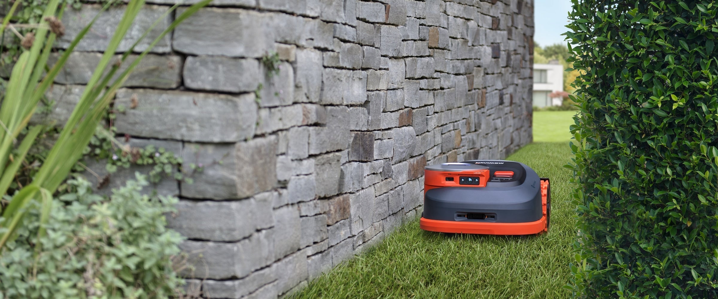 Low perspective of Segway Navimow H2 robot mower between rough stone wall and clipped hedge