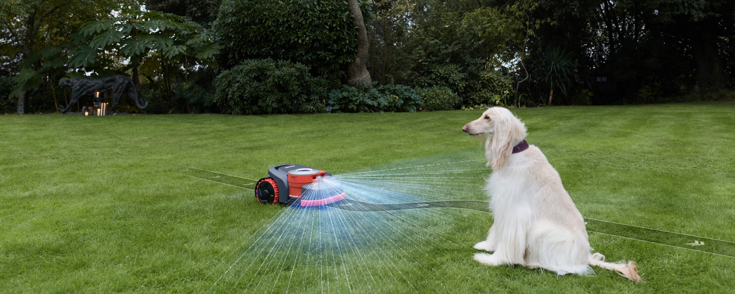 Segway Navimow H2 robot mower scans a white dog near a dark cat statue in garden