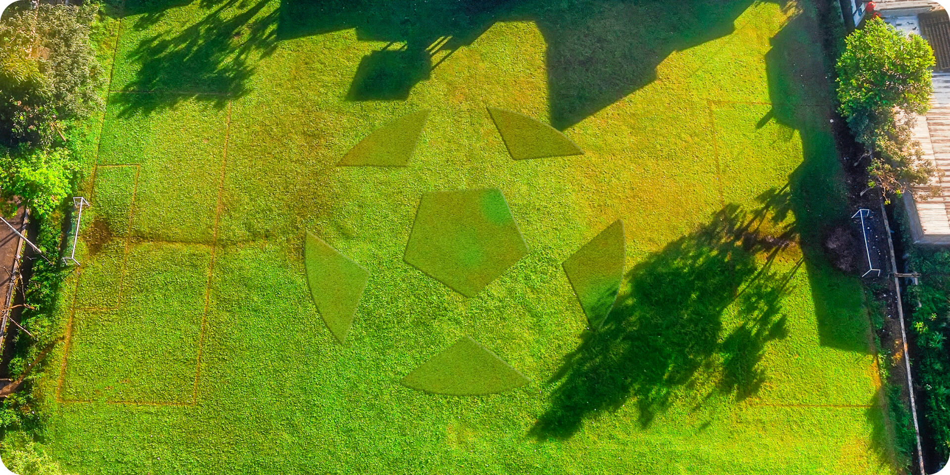 Navimow i110N robot lawn mower mowed a soccer ball pattern.