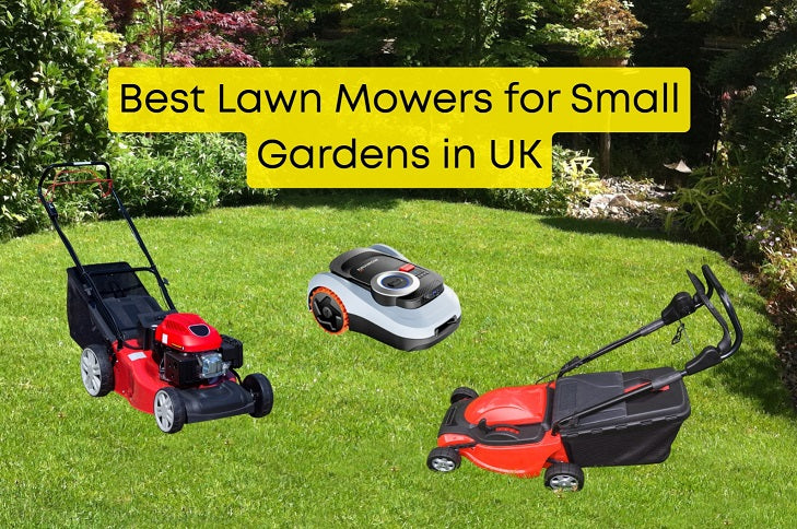 Best Lawn Mowers for Small Gardens in UK