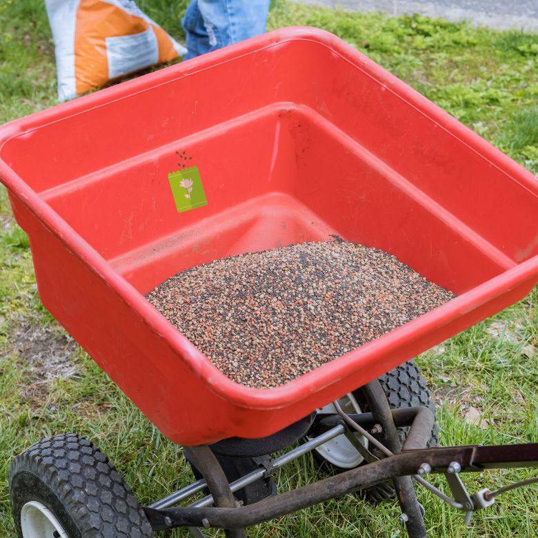 How to Reseed a Lawn?