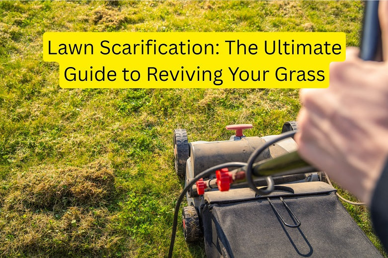 Lawn Scarification