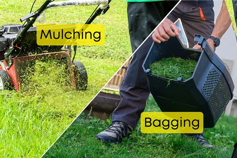 Mulching vs Bagging
