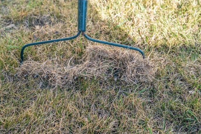 How to Remove Dead Grass from the Lawn?