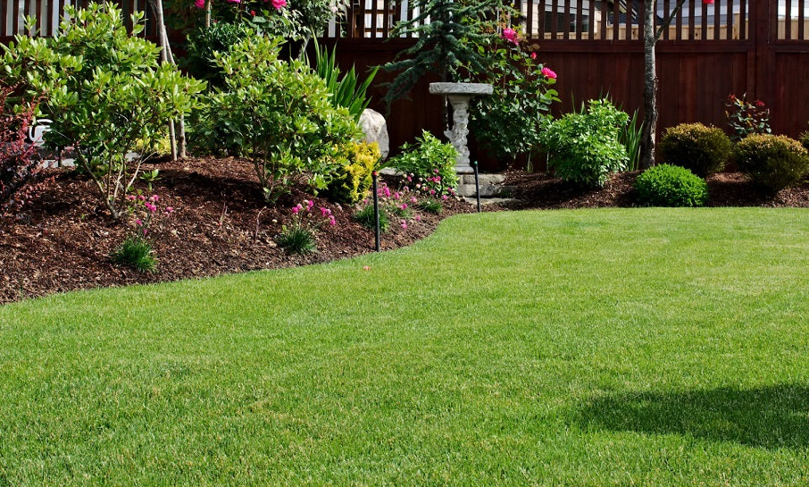 1/3 Rule for Lawn Mowing Explained