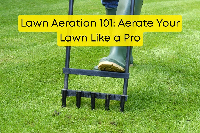 Lawn Aeration