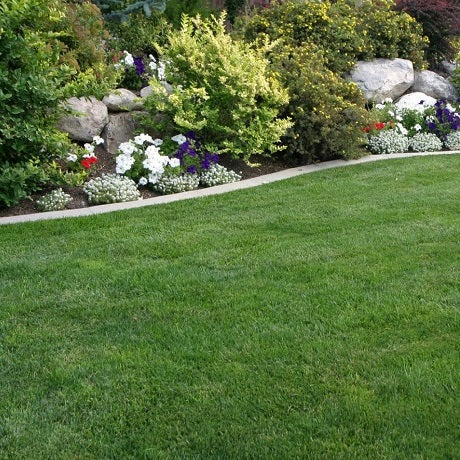 Lawn Edging Ideas