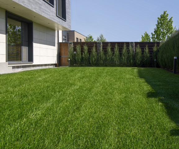 Navimow i105E robot lawn mower on a lush green grass.