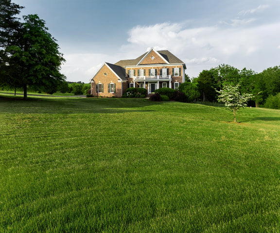 Navimow i110N robot lawn mower mows this big green lawn.