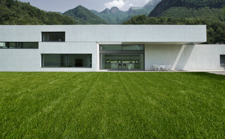 White modern house with a green lawn and mountains behind.