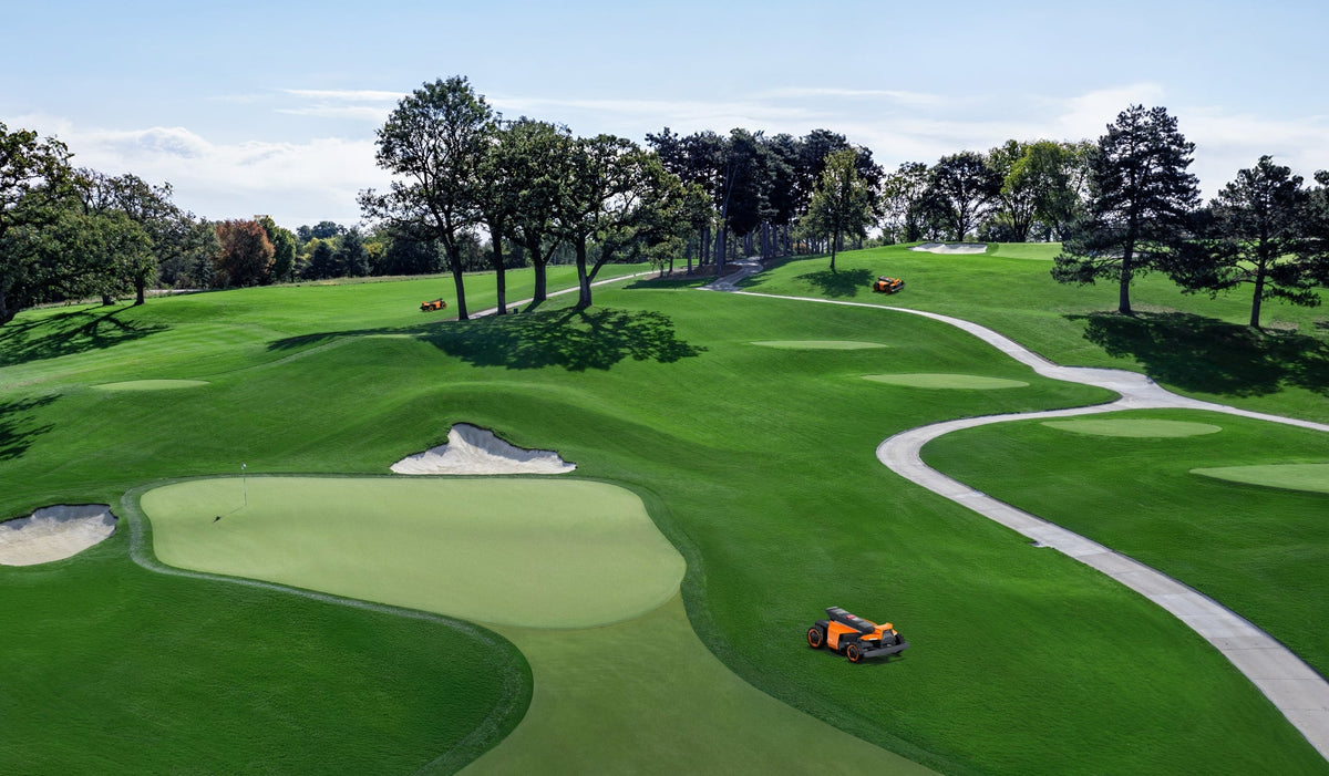 Navimow i110N robot lawn mower mows a green golf course.