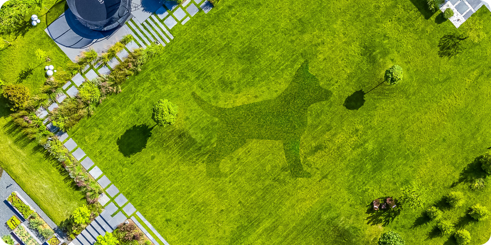 Segway Navimow i105E robot lawn mower mowed a dog shape.
