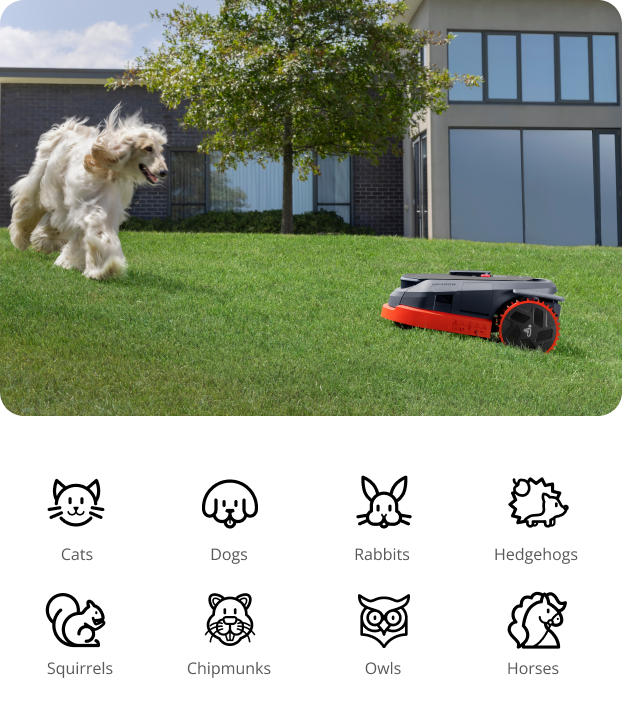 A white dog runs past Navimow i110E robot lawn mower.