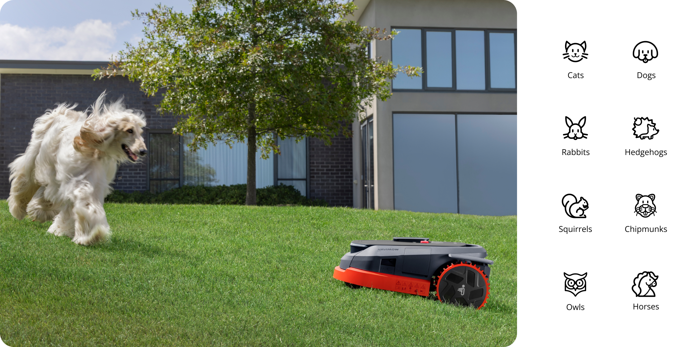 Navimow i Series robot lawn mower.