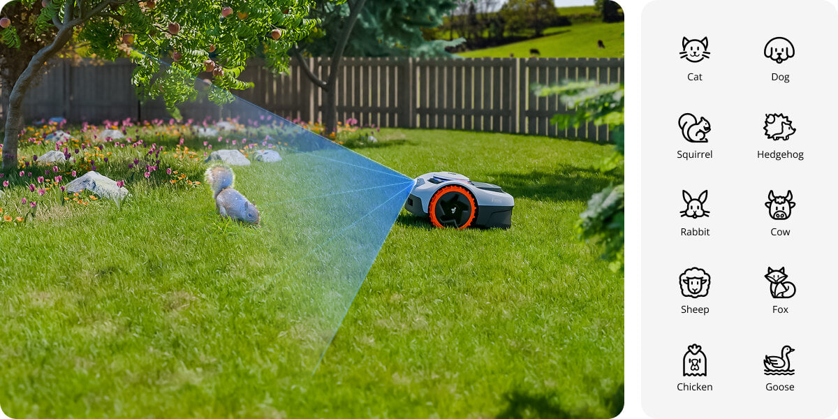 Navimow i110 robot lawn mower identifies a squirrel in grass.