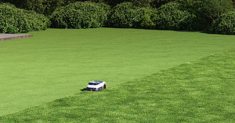 Navimow i110N robot lawn mower is mowing the green grass.