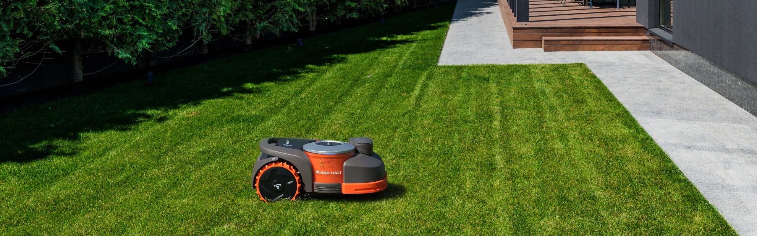 Segway Navimow i110S robot lawn mower on green garden grass.